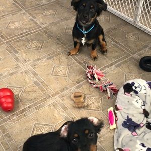 Meet your Posher, Quentin